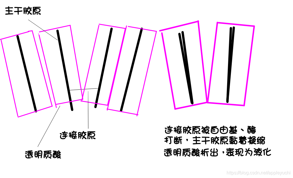 1662470690521-8787b5b1-5fce-4484-90d0-ed00dbfbfb4d.png