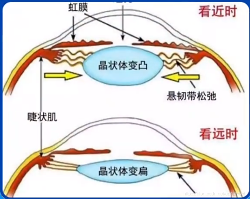 1662300598702-b2313513-324f-4fb0-a988-1c823407b780.png