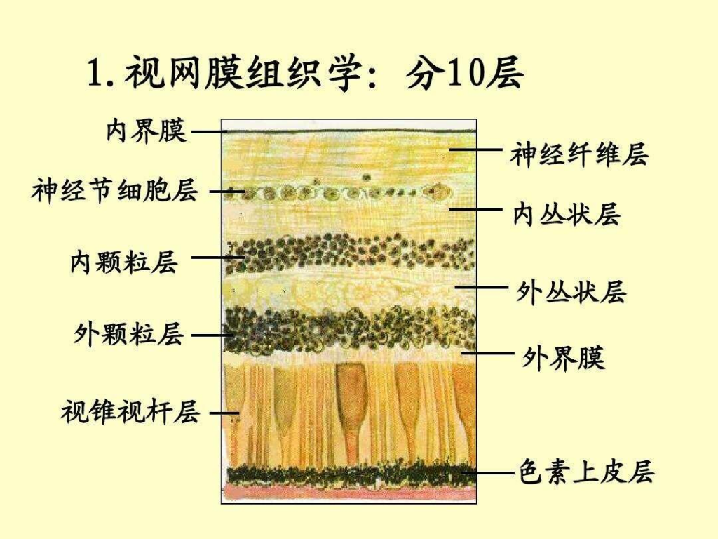 1663575315886-7d8ddef3-d2ab-482d-8aeb-11494c00da1b.png