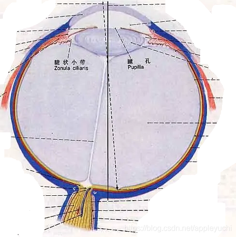 1662470828566-9d396a53-7a61-4897-909e-52d306b3ee51.png