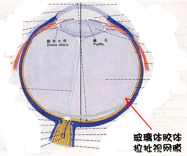 1662470828699-272b2c9d-2875-4e61-ab04-e8c712098aaf.png