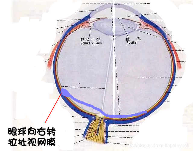 1662470828528-431b8cf7-c509-447e-8e84-4539ec6a729d.png