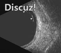 1662219304974-dc78d0bc-8a08-4510-b988-e7274043ea35.jpeg